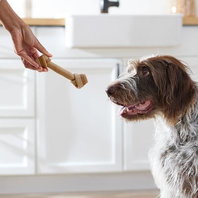 Show full view: True Acre Foods, Rawhide-Free, Knotted Bones, with Natural Chicken Flavor Dog Treats, Large, 3 count slide 8 of 11