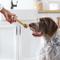 Show in main carousel: True Acre Foods, Rawhide-Free, Knotted Bones, with Natural Peanut Butter Flavor Dog Treats, Large, 3 count slide 8 of 11