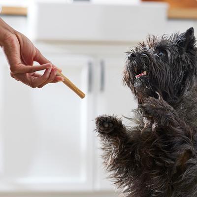 Show full view: True Acre Foods, Rawhide-Free, Rolled Sticks, Hip & Joint Chew, with Natural Chicken Flavor Dog Treats, 16 count slide 8 of 11