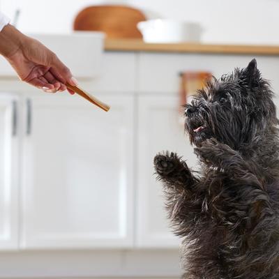 Show full view: True Acre Foods, Rawhide-Free, Rolled Sticks, Skin & Coat Chew, with Natural Chicken Flavor Dog Treats, 16 count slide 8 of 11