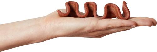 Show full view: True Acre Foods Thick Cut Strips with Real Bacon & Peanut Butter Flavor Dog Treats, 50-oz bundle slide 6 of 9