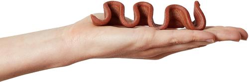 Show full view: True Acre Foods Thick Cut Strips with Real Bacon & Peanut Butter Flavor Dog Treats, 25-oz bag slide 6 of 9