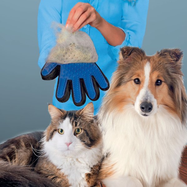 Show full view: True Touch Five Finger Pet Deshedding & Hair Removal Glove, Blue/Red slide 2 of 9
