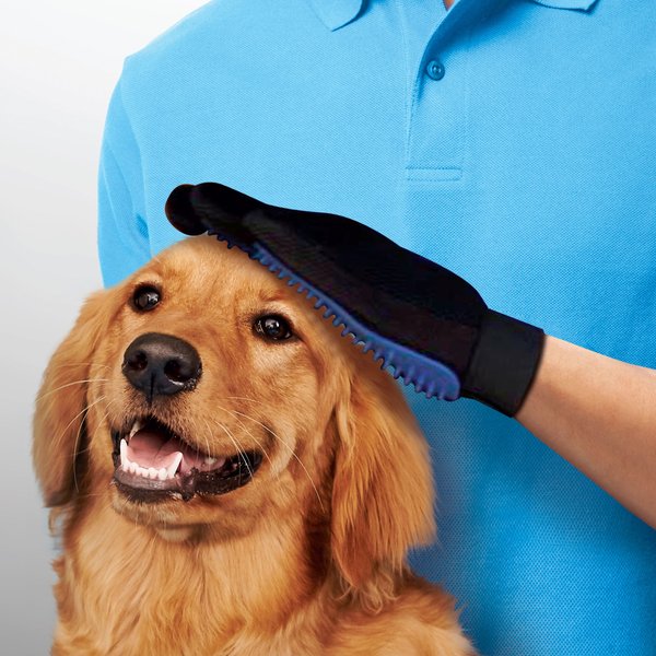 Show full view: True Touch Five Finger Pet Deshedding & Hair Removal Glove, Blue/Red slide 3 of 9