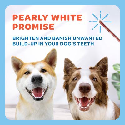 Show full view: Trusty Paws USA Beef Collagen Chews Extra Thin Jerky Dog Treats, 60 count, 15-oz bag slide 8 of 8