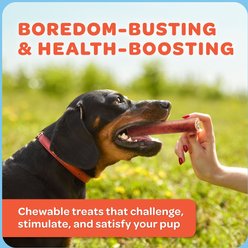 Trusty Paws USA Beef Collagen Chews Jumbo Jerky Dog Treats, 5 count, 7.5-oz bag slide 2 of 7