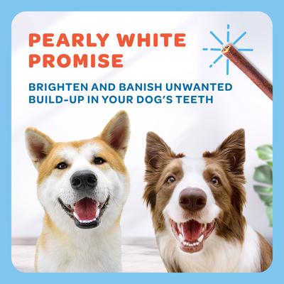 Show full view: Trusty Paws USA Beef Collagen Chews Thick Jerky Dog Treats, 20 count, 21-oz bag slide 8 of 8