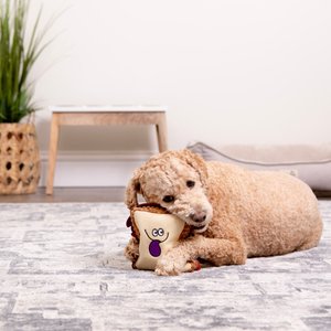 TrustyPup PBJ Tough Squeaky Dog Chew Toy, Small