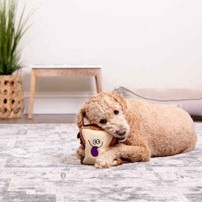 Show full view: TrustyPup PBJ Tough Squeaky Dog Chew Toy, Small slide 1 of 9