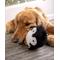 Show in main carousel: TrustyPup Penguin, Silent Squeak Dog Toy, Black, Large slide 5 of 8