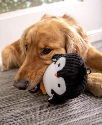 Show full view: TrustyPup Penguin, Silent Squeak Dog Toy, Black, Large slide 5 of 8