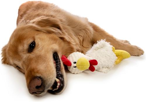 Show full view: TrustyPup Tall Toes Skinny Chicken Tough Squeaky Dog Chew Toy, Large slide 6 of 7