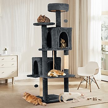 Cat Furniture: Cat Towers, Condos, Perches (Free Shipping) Chewy