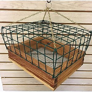 Tucson Bird Designs Songbird Platform Bird Feeder