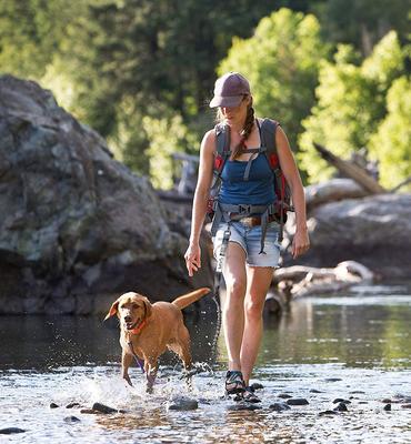 Show full view: Tuff Mutt Hands Free Bungee Dog Leash, Gray/Purple slide 5 of 6