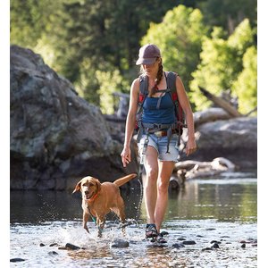 Tuff Mutt Hands Free Bungee Dog Leash, Gray/Teal