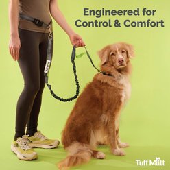Tuff Mutt Hands-Free Bungee Leash, Gray & Blue slide 2 of 9