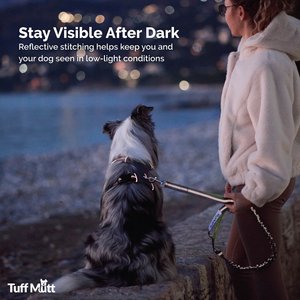 Tuff Mutt Hands-Free Bungee Leash, Gray & Blue