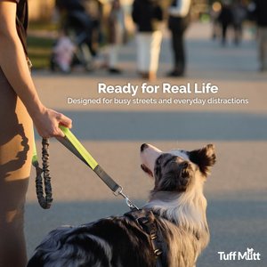 Tuff Mutt Hands-Free Bungee Leash, Gray & Blue