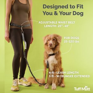 Tuff Mutt Hands-Free Bungee Leash, Gray & Blue