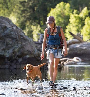 Show full view: Tuff Mutt Hands-Free Bungee Leash, Gray & Green slide 9 of 12