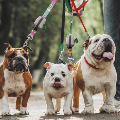 Show full view: Tuff Mutt Leash Attachment Poop Bag Holder slide 2 of 12