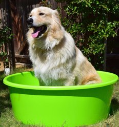 Tuff Stuff Products Heavy Duty Sheep Tank Farm Animal Feeder, Lime, 15.3-gal slide 2 of 2