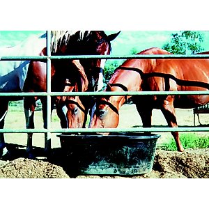 Tuff Stuff Products Super Duty Oval Tank Farm Animal Feeder, 15-gal