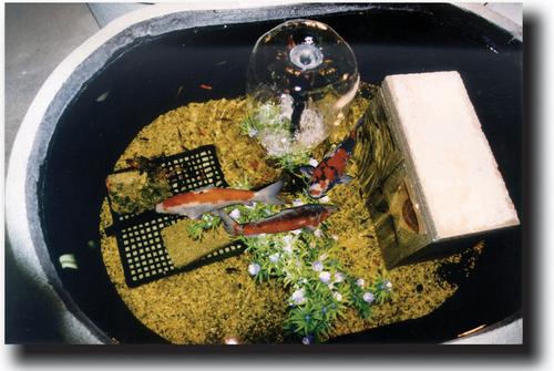 Show full view: Tuff Stuff Products Super Duty Oval Tank Farm Animal Feeder, 30-gal slide 6 of 7