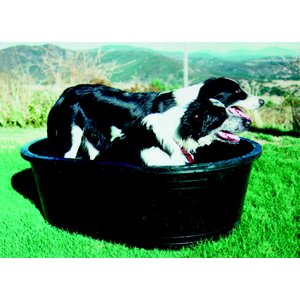 Tuff Stuff Products Super Duty Oval Tank Farm Animal Feeder, 40-gal