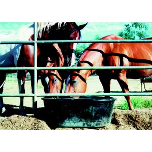 Tuff Stuff Products Super Duty Oval Tank Farm Animal Feeder, 40-gal