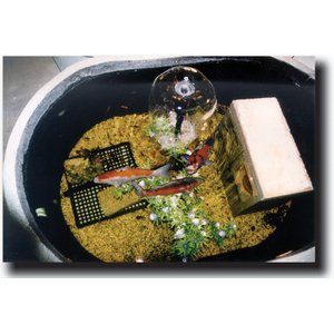 Tuff Stuff Products Super Duty Oval Tank Farm Animal Feeder, 40-gal