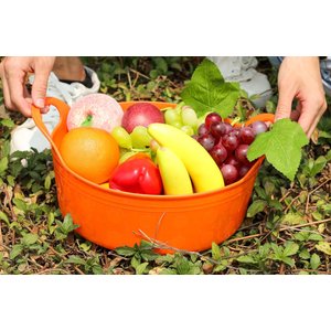 Tuff Stuff Products Tuff Flex Tub Farm Animal Feeder, 5-qt, Sky Blue