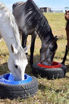 Show full view: Tuff Stuff Products Universal Round Tire Farm Animal Feeder, 16-qt, French slide 2 of 5