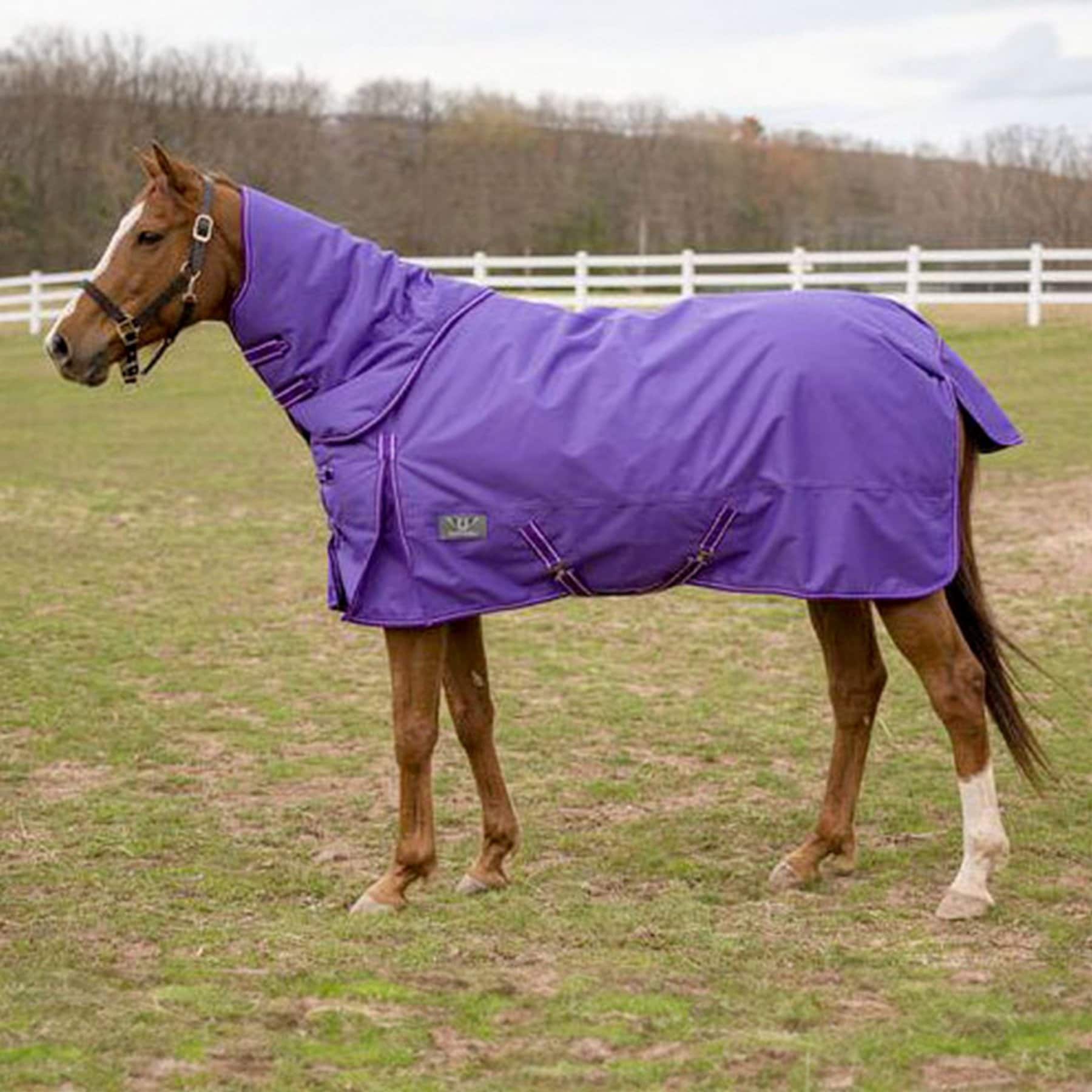TuffRider 1200 D 200 GSM Comfy Winter Weight Ripstop Turnout Horse Blanket with Detachable Neck, 69, Purple