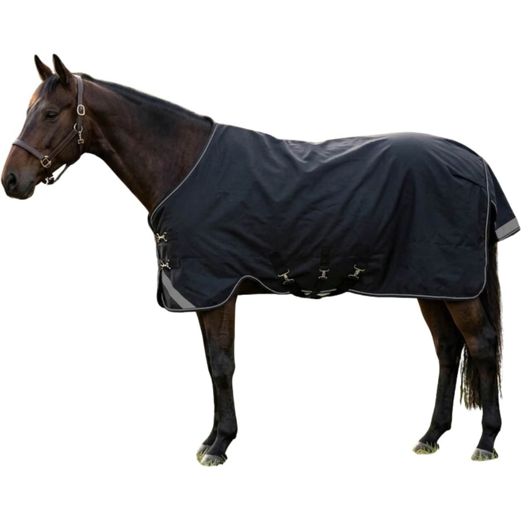 TuffRider 1200 D 200 GSM Fill Turnout Armor Horse Blanket, Black, 69