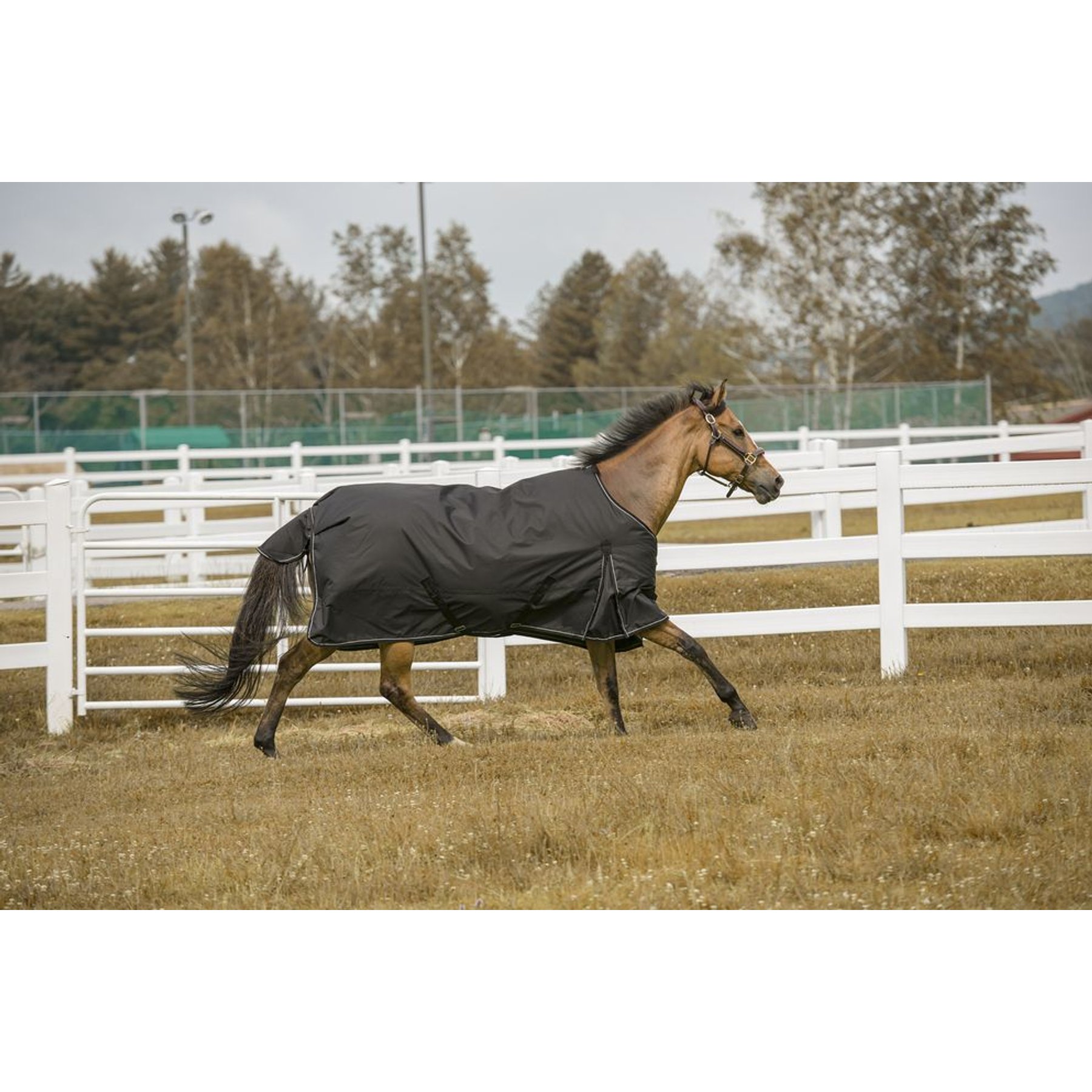 TuffRider 1200 D Comfy Medium Weight 200G Standard Neck Winter Horse Blanket, Black, 72-in