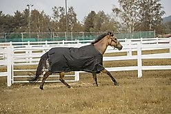 TuffRider 1200 D Comfy Medium Weight 200G Standard Neck Winter Horse Blanket, Black, 78-in