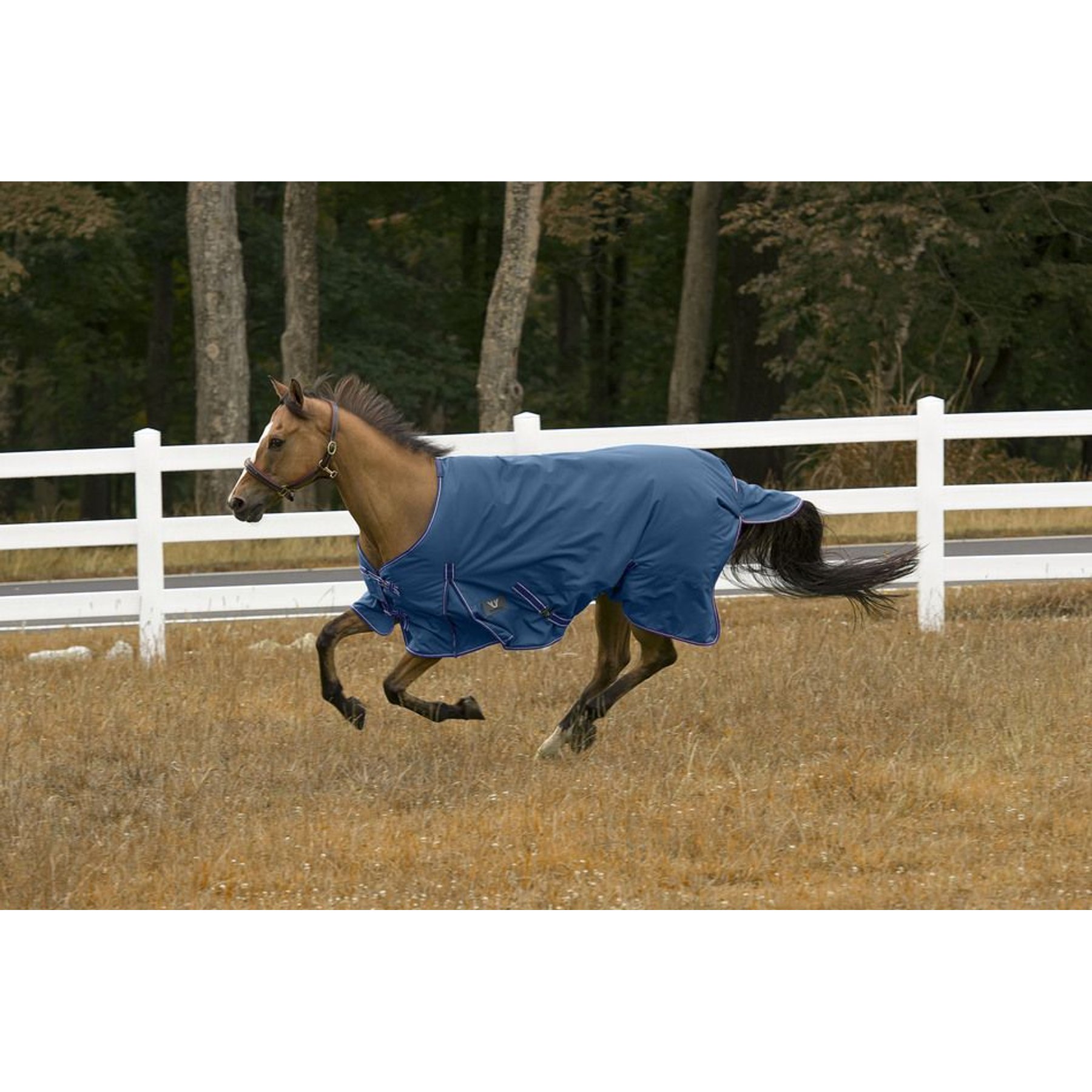 TuffRider 1200 D Comfy Medium Weight 200G Standard Neck Winter Horse Blanket, Palace Blue, 81-in