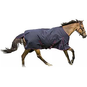 TuffRider 1200 D Comfy Winter Horse Blanket, Navy, 78-in