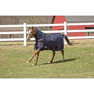 TuffRider 1200 D Comfy Winter Horse Blanket, Navy, 78-in