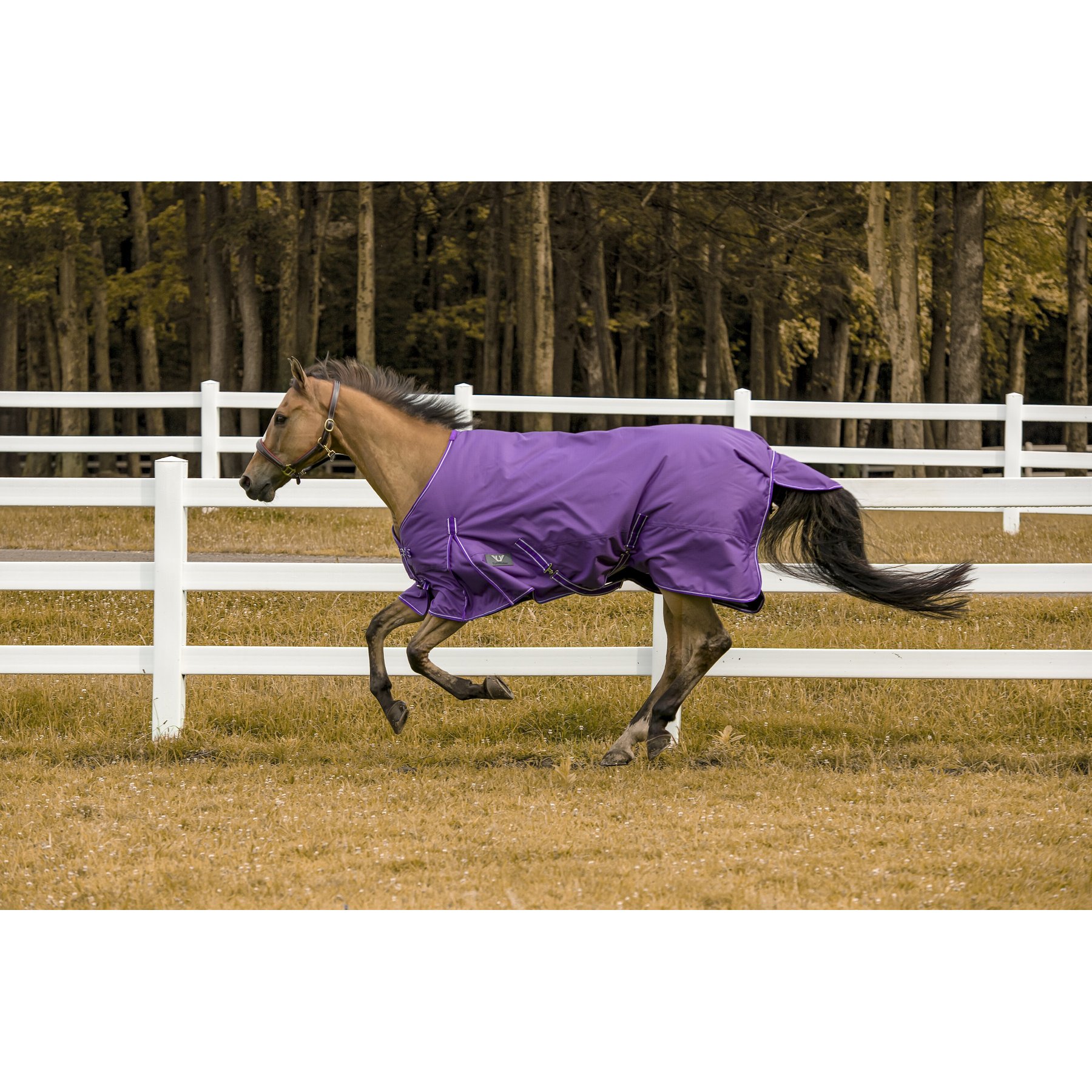 TuffRider 1200 D Comfy Winter Horse Blanket, Purple, 87-in