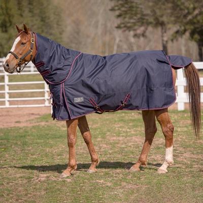 Show full view: TuffRider 1200 D Comfy Winter Medium Weight Detachable Neck Horse Turnout Blanket, Navy, 75-in slide 3 of 4