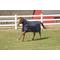 Show in main carousel: TuffRider 1200 D Comfy Winter Medium Weight Detachable Neck Horse Turnout Blanket, Navy, 84-in slide 1 of 4