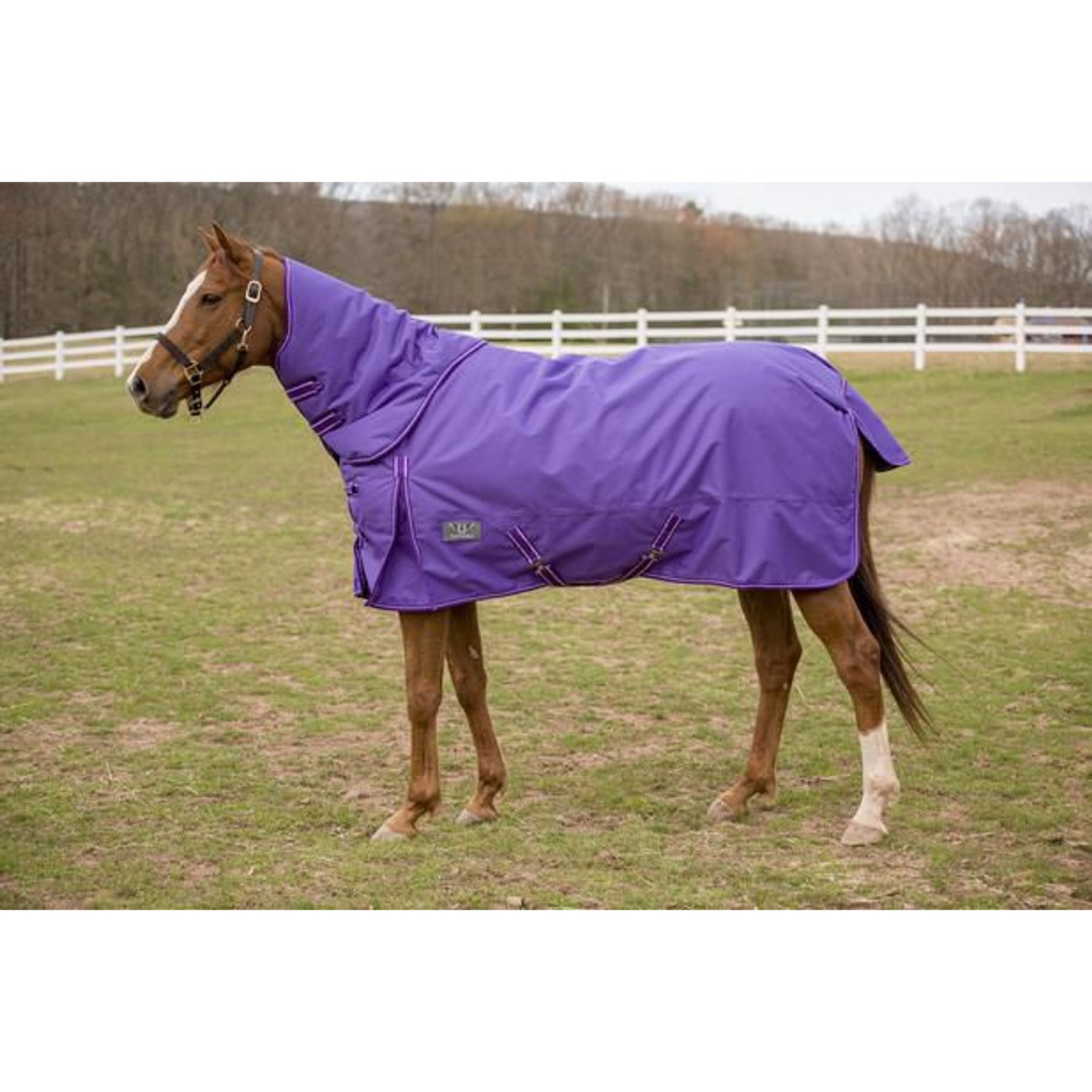 TuffRider 1200 D Comfy Winter Medium Weight Detachable Neck Horse Turnout Blanket, Purple, 81-in