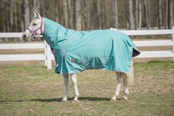 TuffRider 1200 D Comfy Winter Medium Weight Detachable Neck Horse Turnout Blanket, Turquoise, 69-in