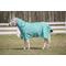 Show in main carousel: TuffRider 1200 D Comfy Winter Medium Weight Detachable Neck Horse Turnout Blanket, Turquoise, 72-in slide 1 of 3