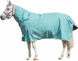 TuffRider 1200 D Comfy Winter Medium Weight Detachable Neck Horse Turnout Blanket, Turquoise, 78-in slide 2 of 2