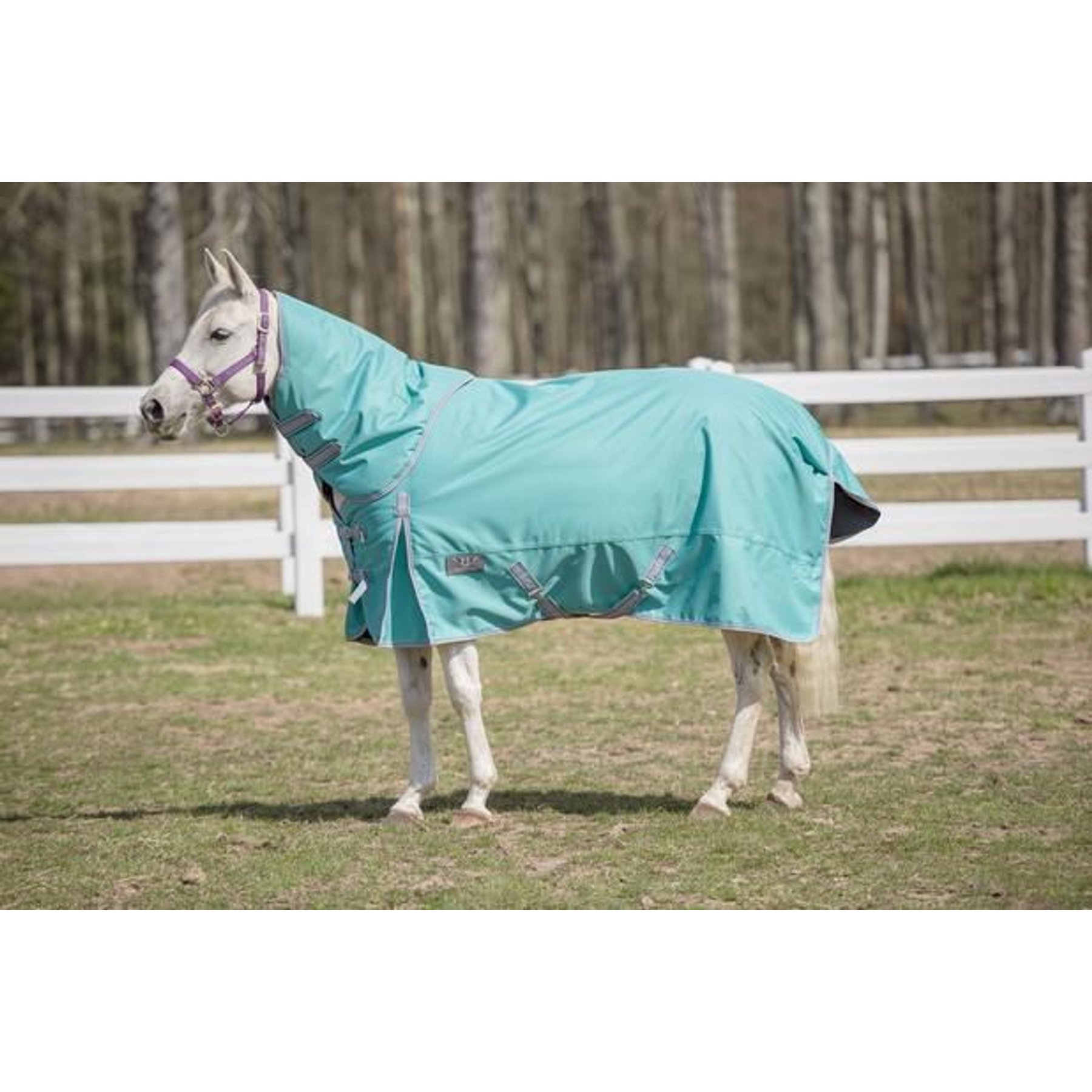 TuffRider 1200 D Comfy Winter Medium Weight Detachable Neck Horse Turnout Blanket, Turquoise, 84-in