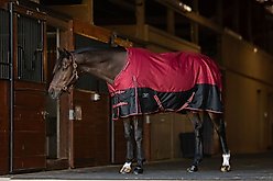 TuffRider 1200D Comfy Fit RipStop Medium Weight Winter Horse Turnout Blanket, Red/Black, 81-in